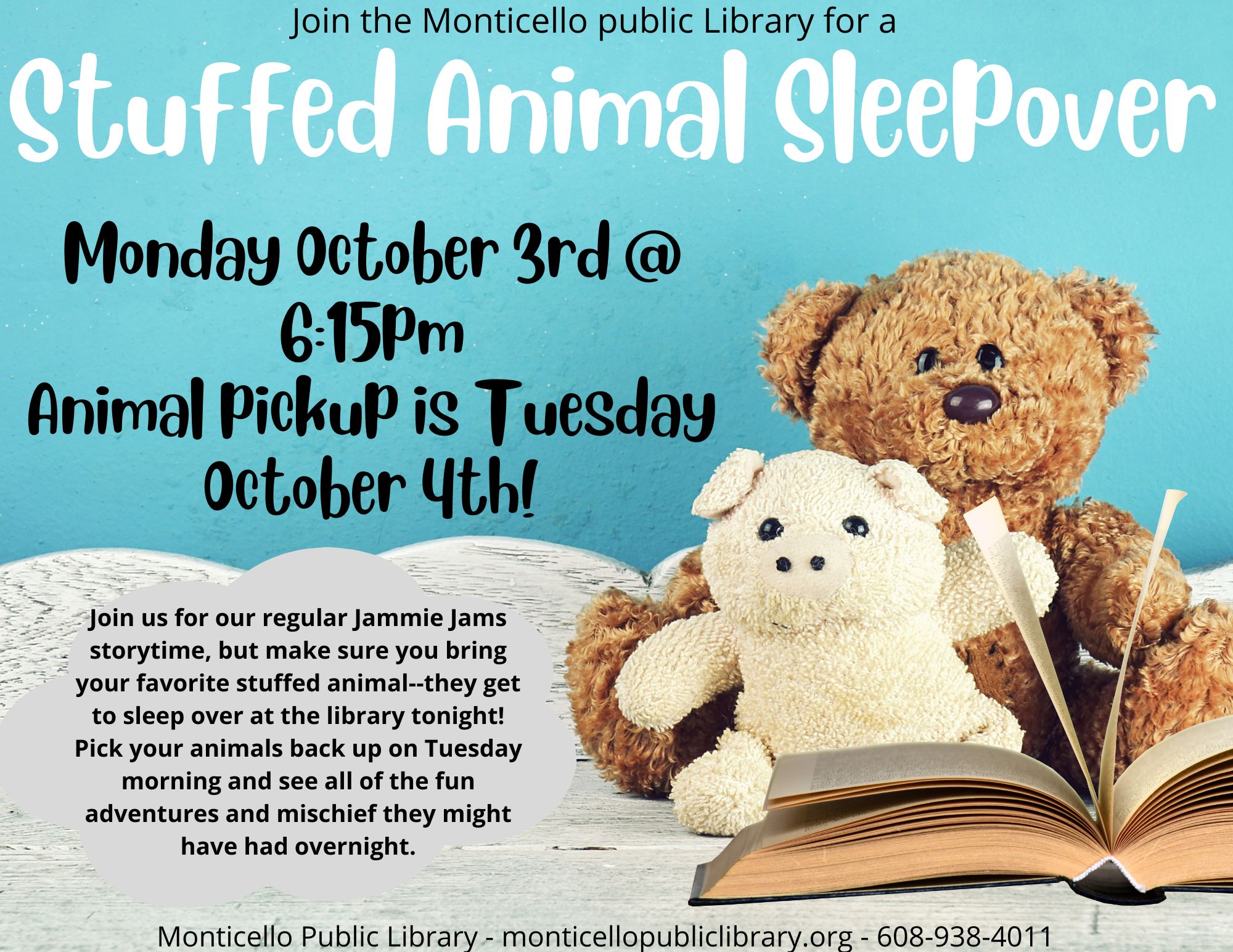 Stuffed Animal Sleepover Monticello Public Library